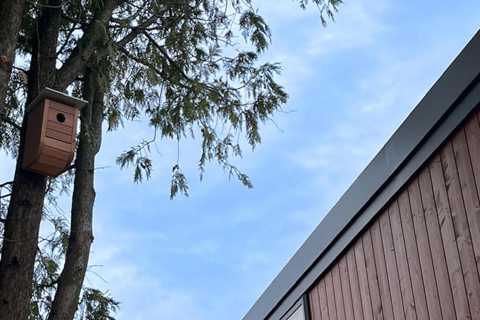 Cottage Retreat 科尔切斯特 外观 照片